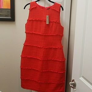 NEW J CREW DRESS WITH TAGS SIZE 12